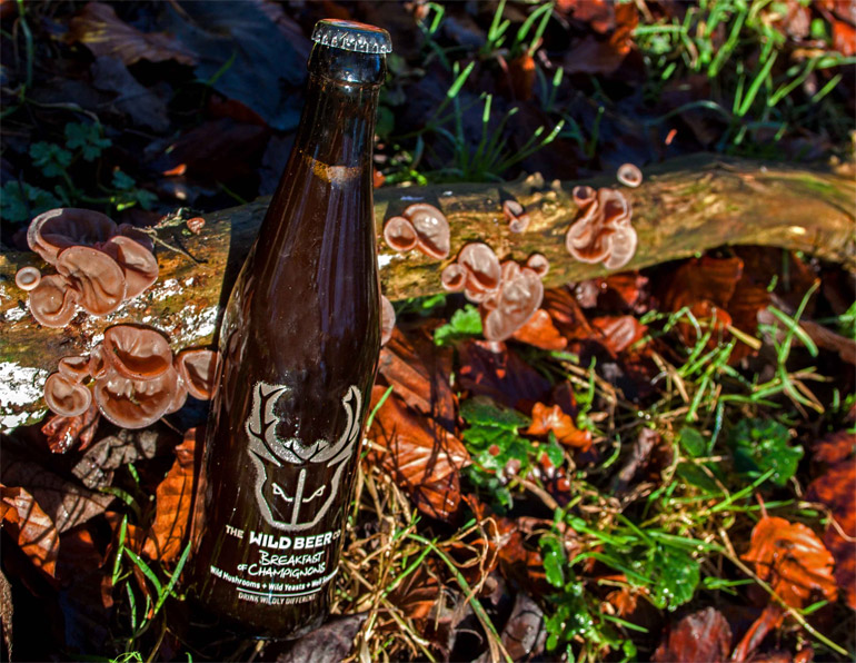 The Wild Beer Co Breakfast of Champignons